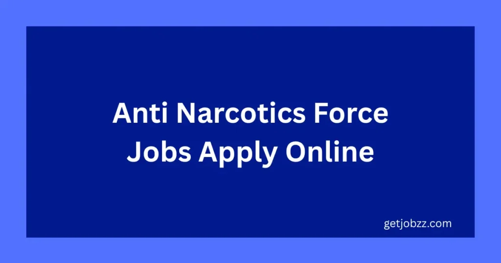 ANF Jobs
